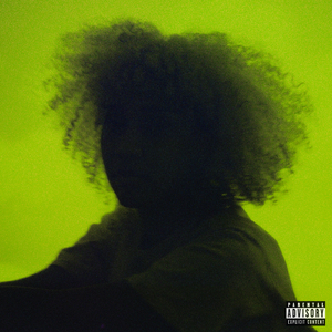 非洲女人与雄性性行为
