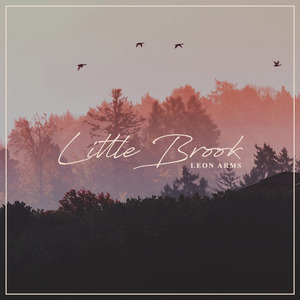 非洲女人与雄性性行为
